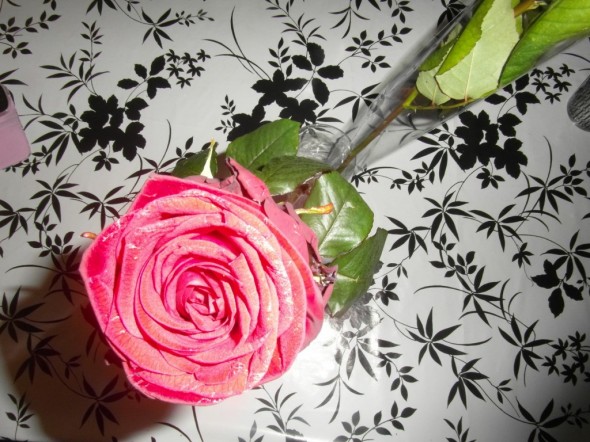 Naistenpäivän ruusu salamavalon loisteessa, salama vähän vaalentaa ruusun punaisuutta.