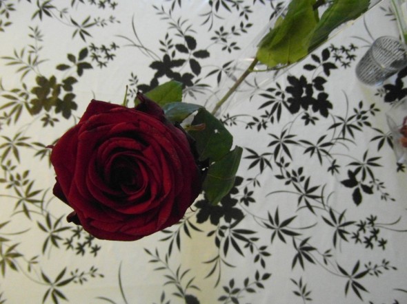 Oikeasti kyseessä on siis tummanpunainen ruusu, joka ilman salamaa näyttää tältä. Vieressä vinottain näkyvä toinen ruusu on vielä kukkakaupan muovitaskussa, koska meidän perheen tytär eli Monika on vielä kaverinsa luona yökyläilemässä, eikä ole vielä omaa ruusuaan saanut.