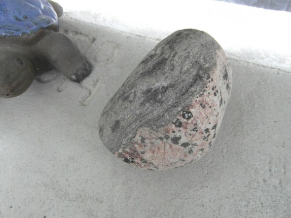 Kilpikonnan vieressä on erikoinen (?) kivi, joka koostuu kahdesta erilaisesta kiviaineksesta. Yleensä pyöreät kivet - ne mitä olen itse nähnyt - ovat yhtä ja samaa kiviainesta.